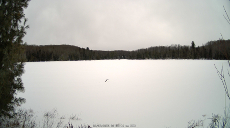 Image from 2025-02-03