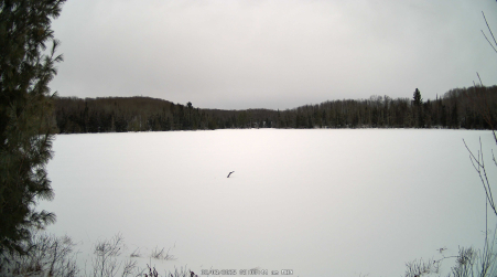 Image from 2025-02-03