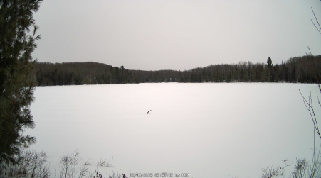 Image from 2025-02-03