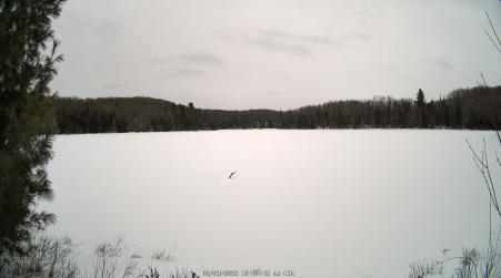 Image from 2025-02-03