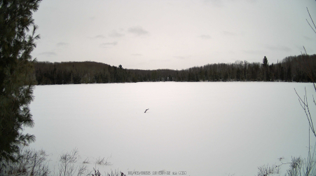 Image from 2025-02-03