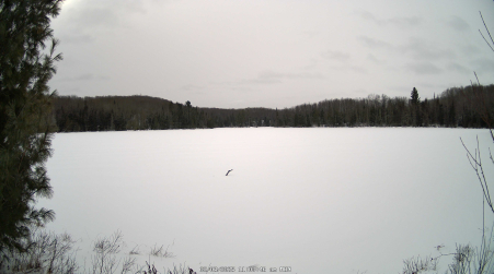 Image from 2025-02-03