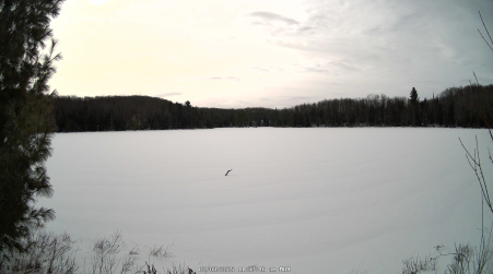 Image from 2025-02-03