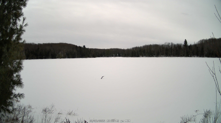 Image from 2025-02-03