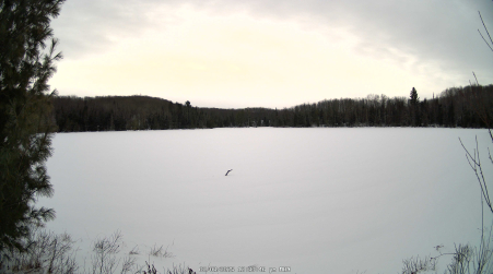 Image from 2025-02-03