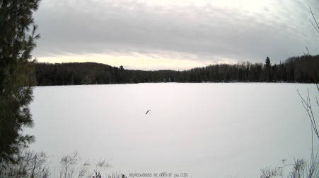 Image from 2025-02-03