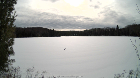 Image from 2025-02-03