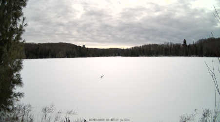 Image from 2025-02-03