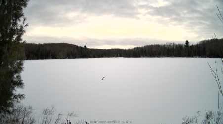 Image from 2025-02-03