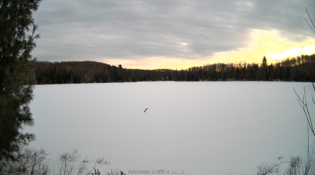 Image from 2025-02-03