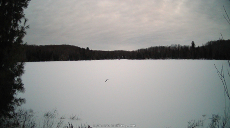 Image from 2025-02-03