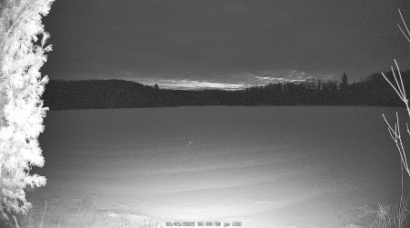 Image from 2025-02-03