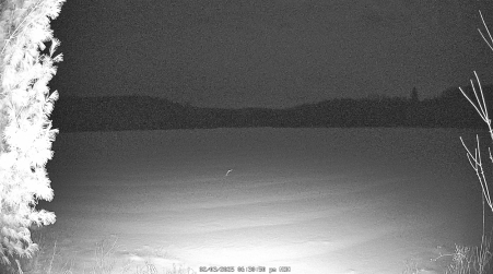 Image from 2025-02-03
