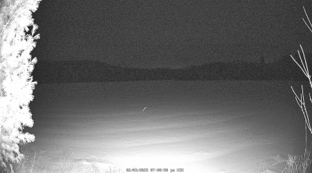 Image from 2025-02-03