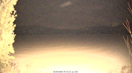 Image from 2025-02-03