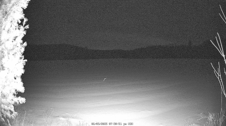 Image from 2025-02-03