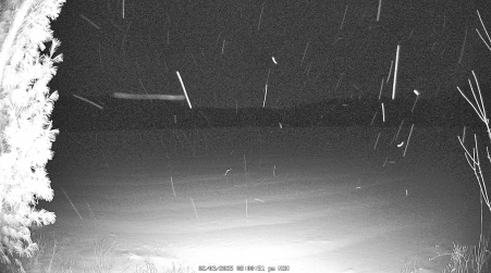 Image from 2025-02-03