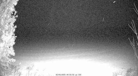 Image from 2025-02-03