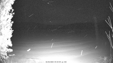 Image from 2025-02-03