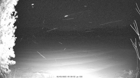 Image from 2025-02-03
