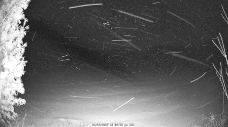 Image from 2025-02-03