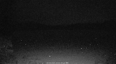 Image from 2025-02-03
