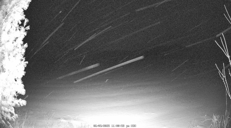 Image from 2025-02-03