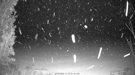 Image from 2025-02-03