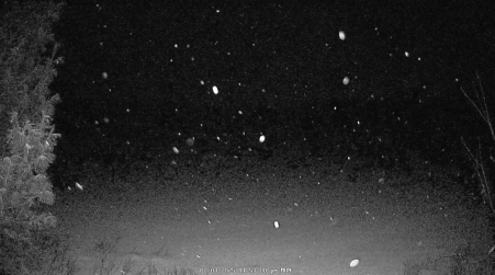 Image from 2025-02-03