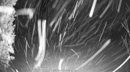 Image from 2025-02-04