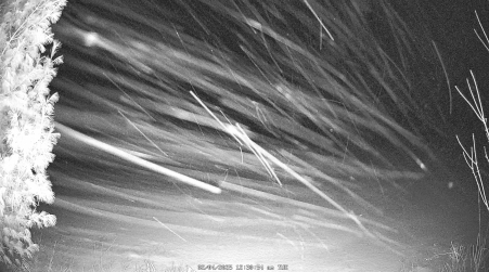 Image from 2025-02-04