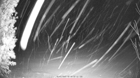 Image from 2025-02-04