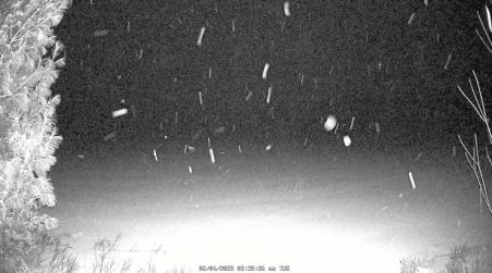 Image from 2025-02-04