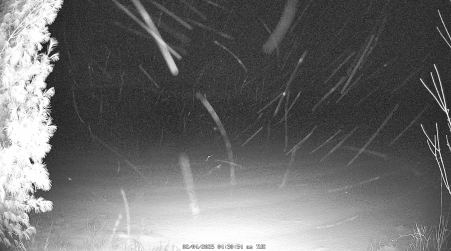Image from 2025-02-04