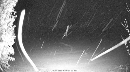 Image from 2025-02-04