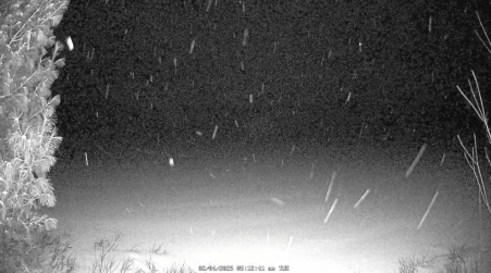 Image from 2025-02-04
