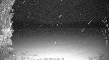 Image from 2025-02-04
