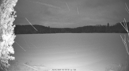 Image from 2025-02-04
