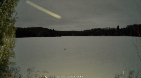 Image from 2025-02-04