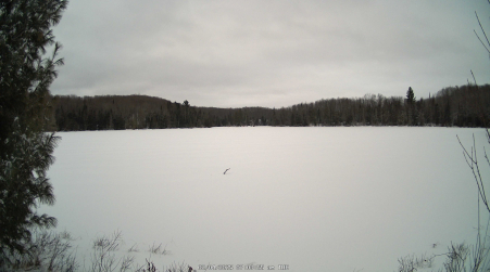 Image from 2025-02-04