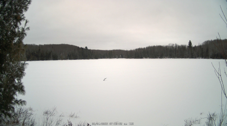 Image from 2025-02-04