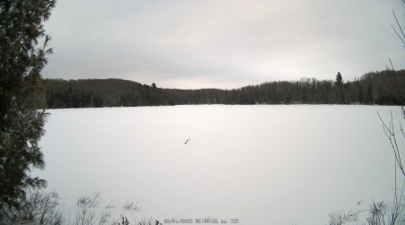 Image from 2025-02-04