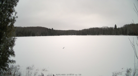 Image from 2025-02-04