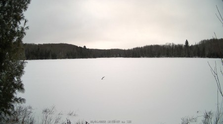 Image from 2025-02-04