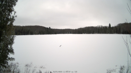 Image from 2025-02-04