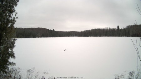 Image from 2025-02-04