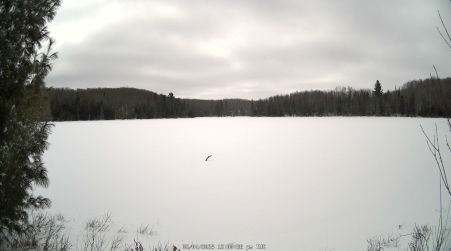 Image from 2025-02-04