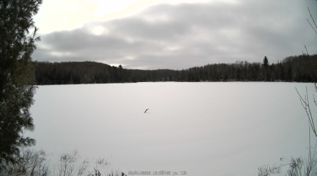 Image from 2025-02-04