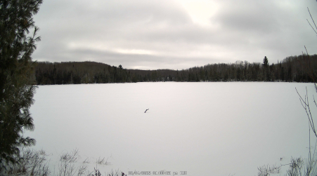 Image from 2025-02-04