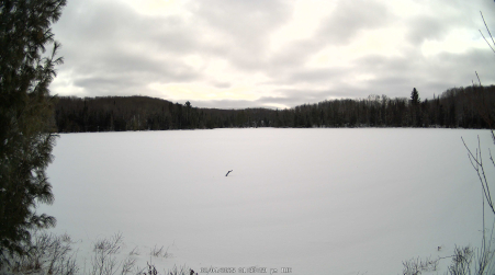 Image from 2025-02-04